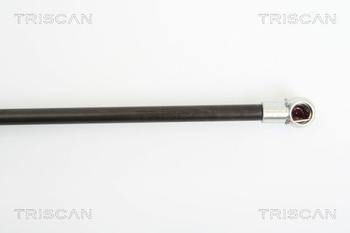 TRISCAN Brake disc Article number: 8120 10105 cheaply