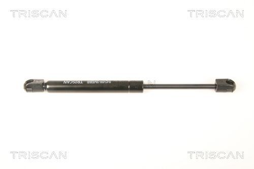 TRISCAN Brake disc Article number: 8120 10122 cheaply