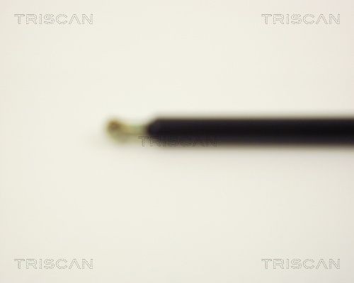 TRISCAN Piduriketas Artikli number: 8120 10137 soodsalt