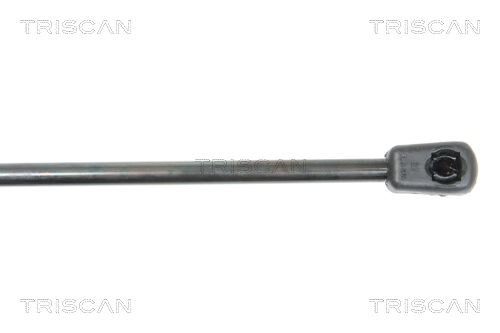 TRISCAN Piduriketas Artikli number: 8120 11180 soodsalt