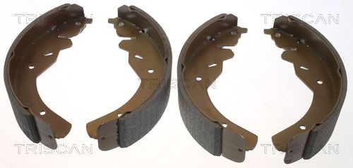 TRISCAN Brake disc Article number: 8120 24148 cheaply