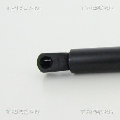 TRISCAN Piduriketas Artikli number: 8120 25116 soodsalt