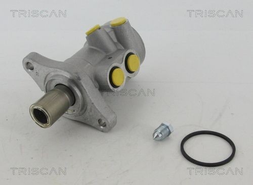 TRISCAN Peapiduri silinder Artikli number: 8130 25136 soodsalt