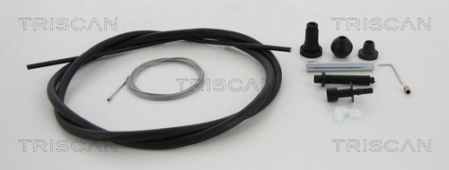 TRISCAN Gaskabel Varenummer: 8140 10314 billige