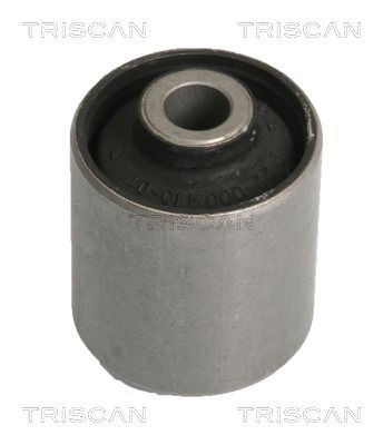 TRISCAN Ophæng, aksel Varenummer: 8500 10810 billige