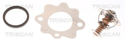TRISCAN Thermostat Article number: 8620 6188 cheaply