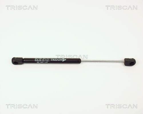 TRISCAN Tailgate strut Article number: 8710 1003 cheaply