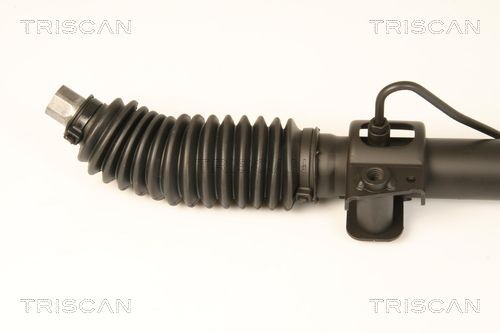 TRISCAN Tailgate strut Article number: 8710 40207 cheaply