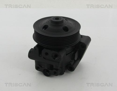 TRISCAN Tailgate strut Article number: 8710 80290 cheaply