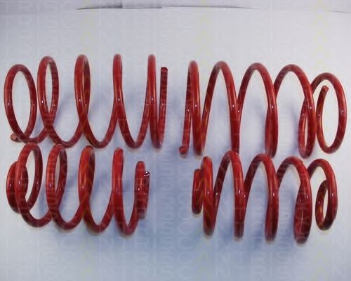 TRISCAN Lowering springs Article number: 8755 11013 cheaply