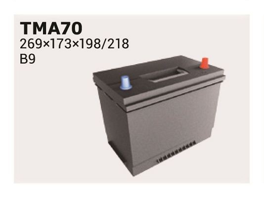 IPSA Battery Article number: TMA70 cheaply