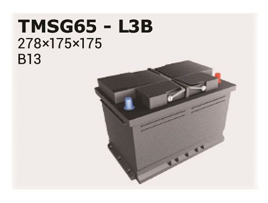 IPSA Battery Article number: TMSG65 cheaply