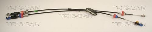 TRISCAN Tross, käigukast Artikli number: 8140 10704 soodsalt