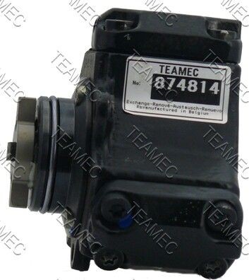 TEAMEC High pressure fuel pump Article number: 874 814 cheaply