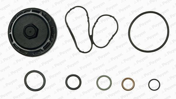 PAYEN Crankcase gasket set Article number: EG9760 cheaply