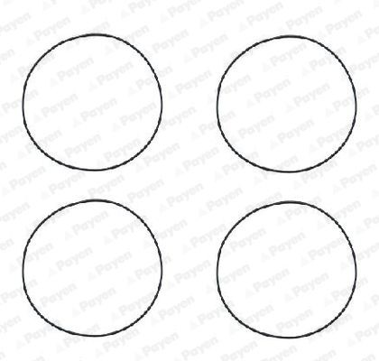 PAYEN O-Ring Set, cylinder sleeve Article number: HR564 cheaply