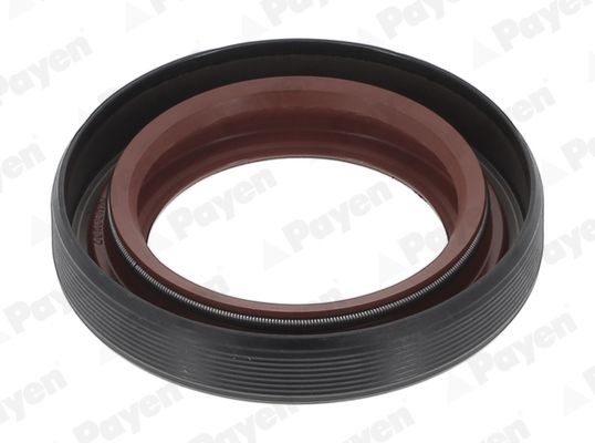 PAYEN Shaft Seal, differential Article number: NA5205 cheaply