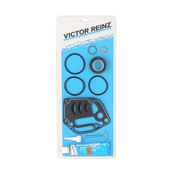 REINZ Crankcase gasket set Article number: 08-35054-01 cheaply