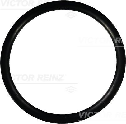 REINZ Seal Ring Article number: 40-76681-00 cheaply