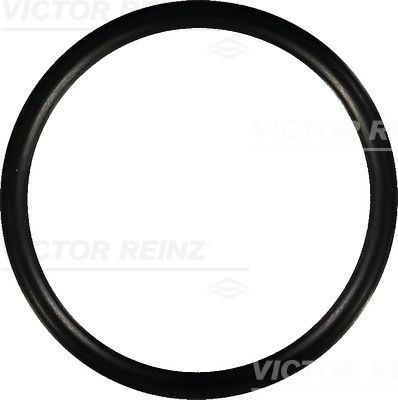 REINZ Inlet manifold gasket Article number: 40-76752-00 cheaply