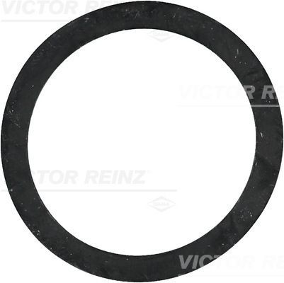 REINZ Seal Ring Article number: 40-77243-00 cheaply