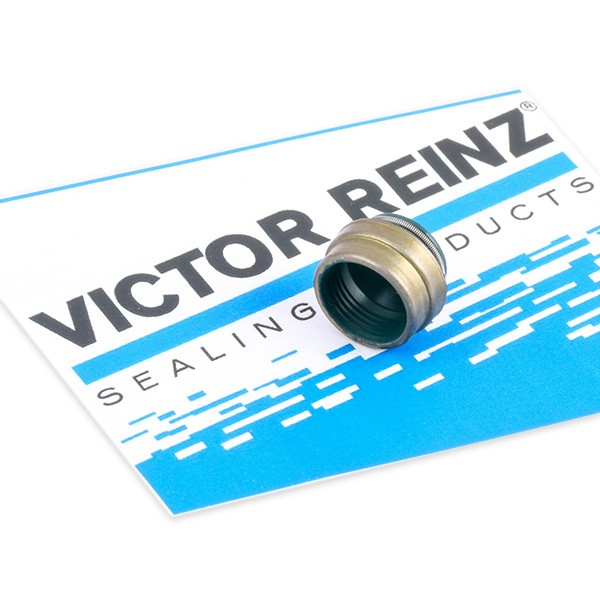 REINZ Valve stem seal Article number: 70-25837-00 cheaply