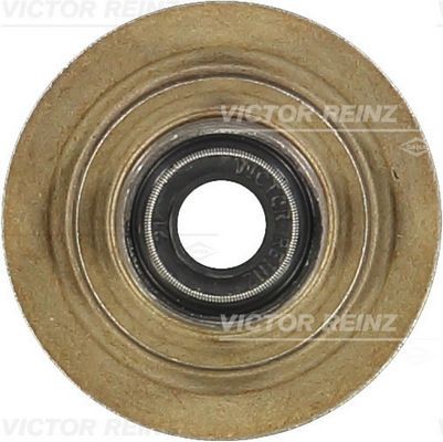 REINZ Valve stem seal Article number: 70-31056-00 cheaply
