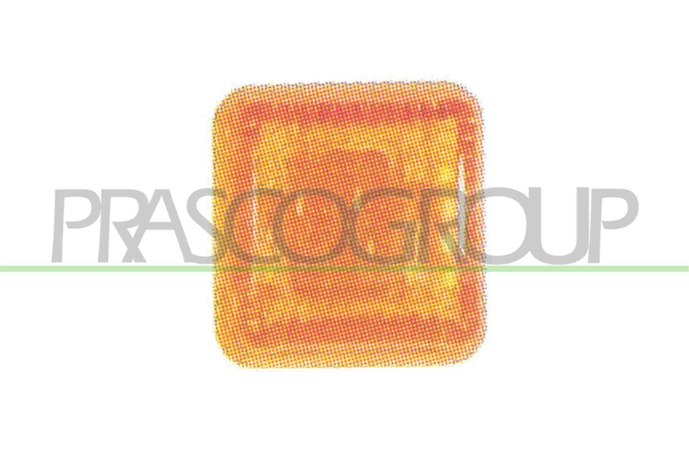 PRASCO Side indicator Article number: FD0404139 cheaply