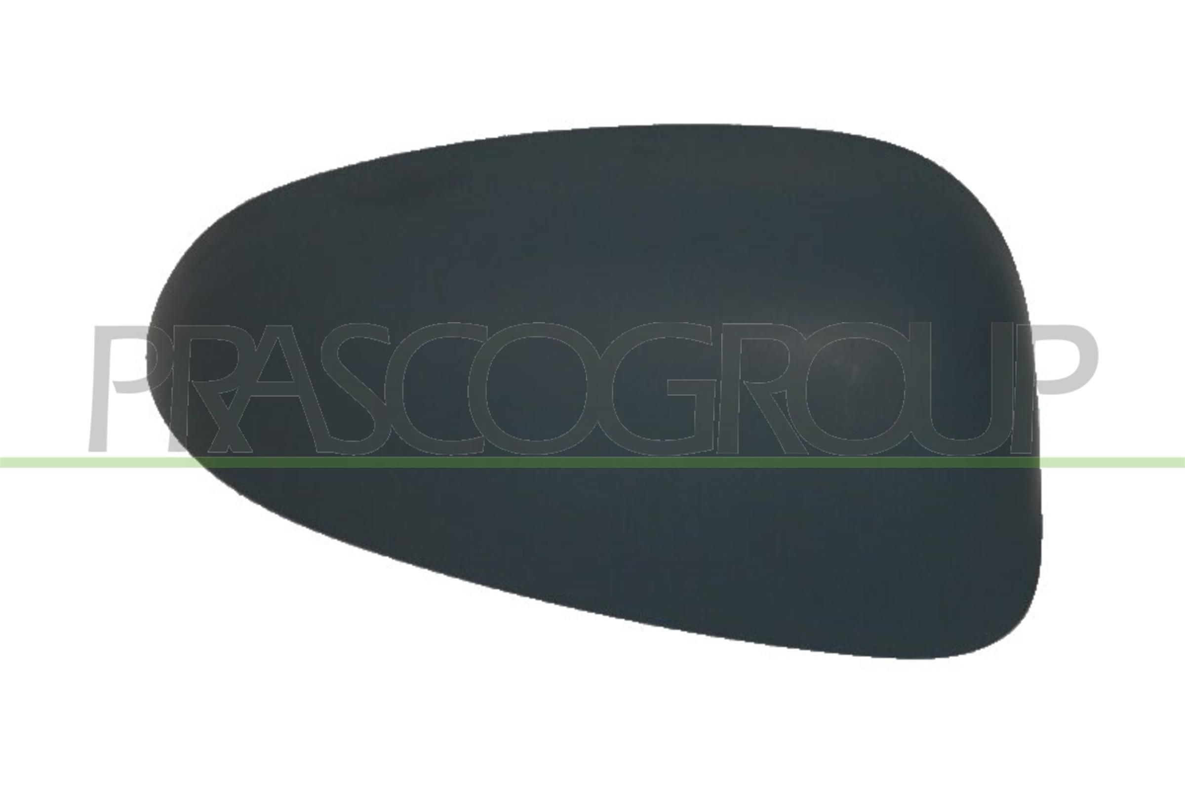 PRASCO Cover, outside mirror Article number: FT1387413 cheaply