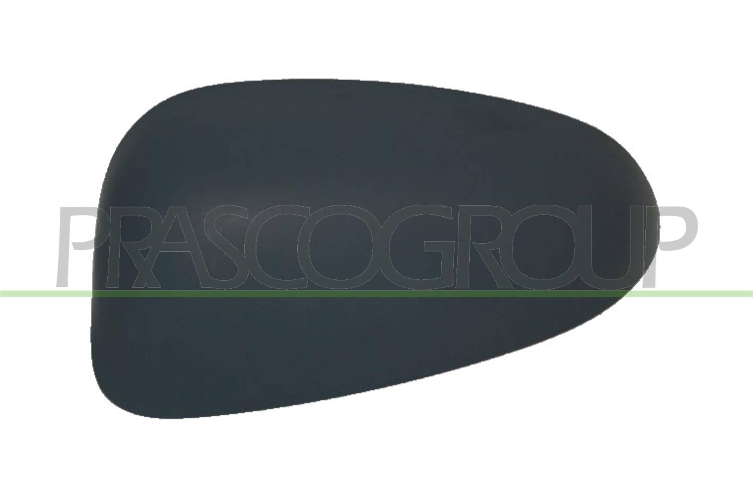 PRASCO Cover, outside mirror Article number: FT1387414 cheaply