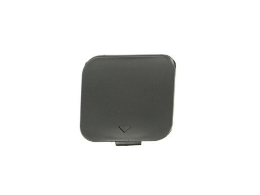 BLIC Flap, tow hook Article number: 5513-00-0075920P cheaply