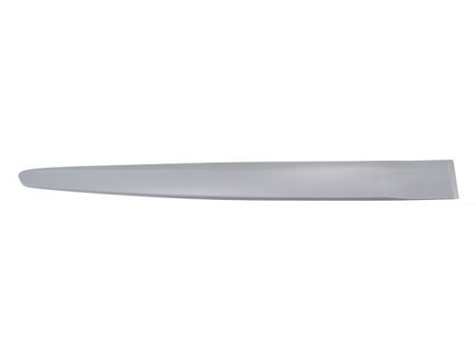 BLIC Door molding Article number: 5703-04-2027578P cheaply