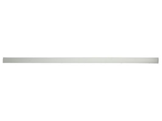 BLIC Door molding Article number: 5703-04-5078576P cheaply