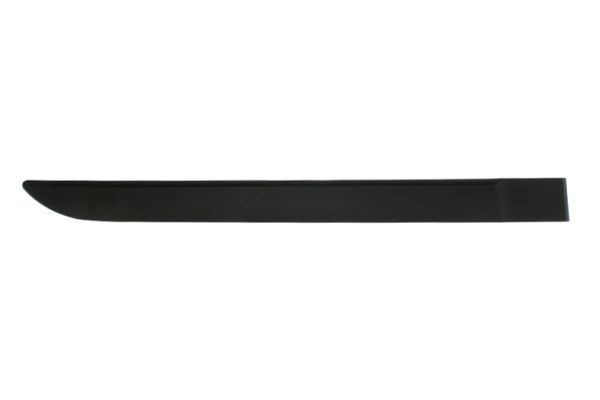 BLIC Door molding Article number: 5703-04-6042574P cheaply