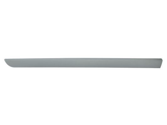 BLIC Door molding Article number: 5703-04-6042575P cheaply