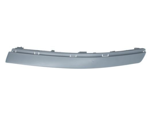 BLIC 5703-05-9539924P Bumper moulding PASSAT 2.0 115 PS Petrol 2005