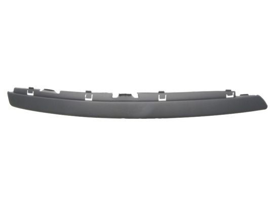BLIC Bumper moulding Article number: 6502-07-9544922P cheaply