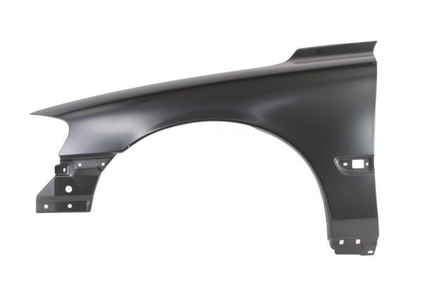 BLIC Wing fender Article number: 6504-04-9021311P cheaply