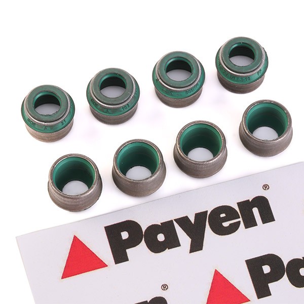 PAYEN Seal Set, valve stem Article number: HR816 cheaply