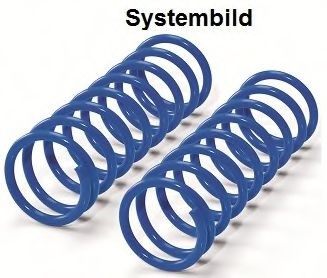 WESTFALIA Supplementary Spring Article number: 405403500001 cheaply