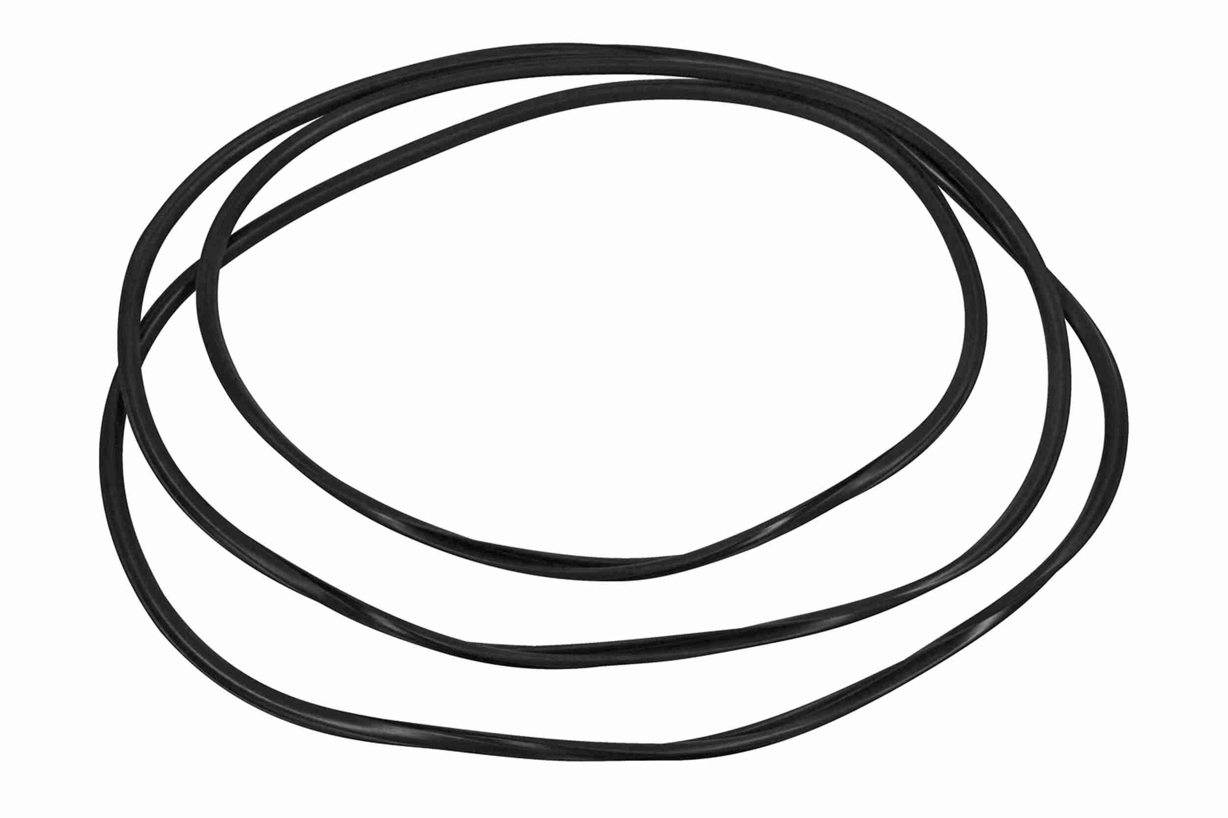 VAICO Windscreen seal Article number: V10-3042 cheaply