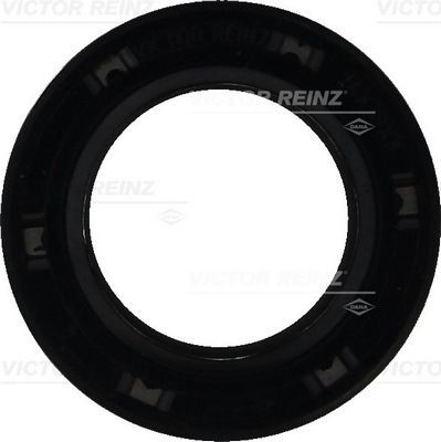 REINZ Camshaft seal Article number: 81-42734-00 cheaply