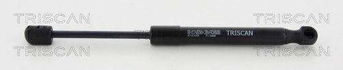 TRISCAN Tailgate strut Article number: 8710 14251 cheaply