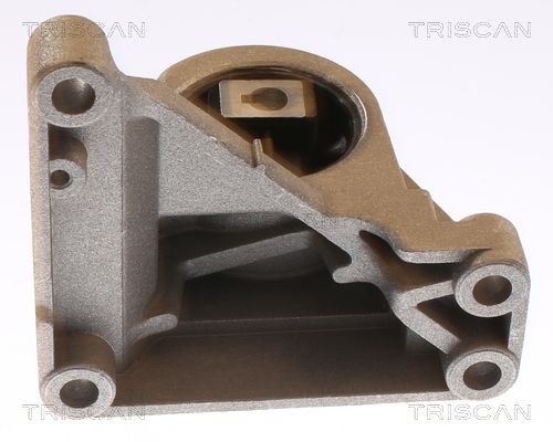 TRISCAN Tailgate strut Article number: 8710 24251 cheaply