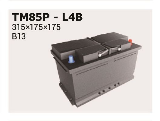 IPSA Starterbatteri Varenummer: TM85P billige