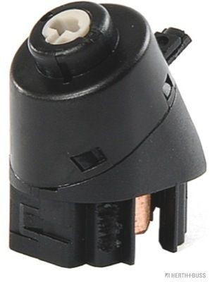 HERTH+BUSS ELPARTS Ignition switch Article number: 70513153 cheaply