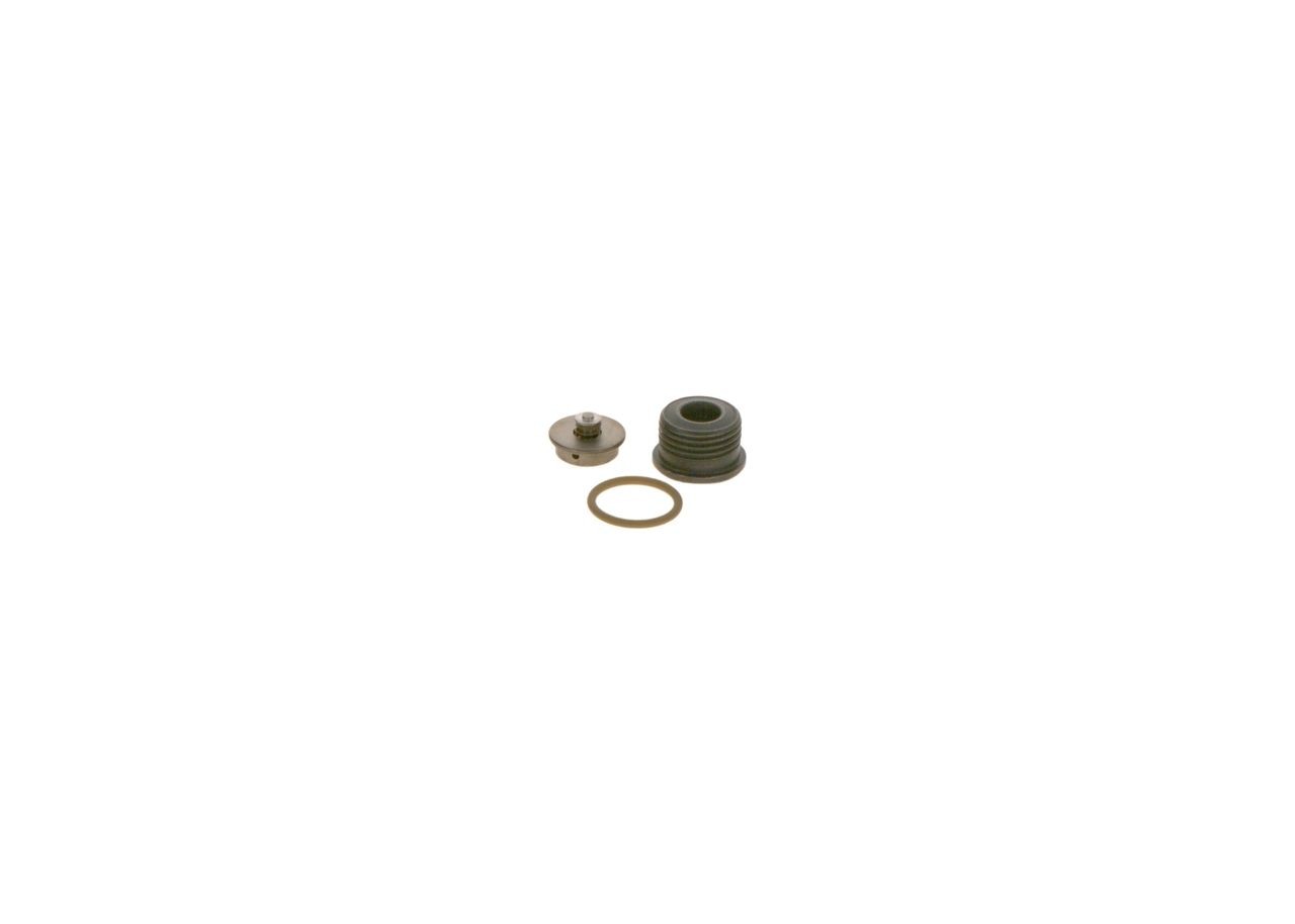 BOSCH Repair Kit, common rail system Article number: F 00N 200 998 cheaply