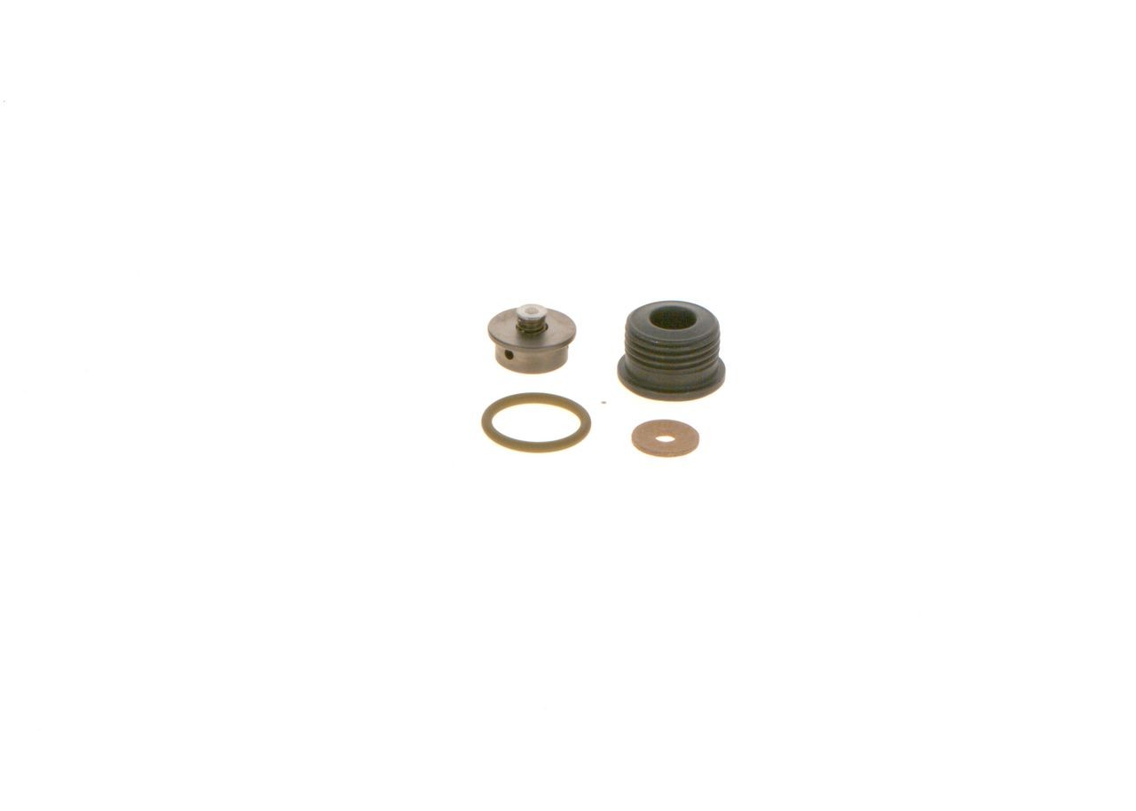 BOSCH Repair Kit, common rail system Article number: F 00N 202 418 cheaply
