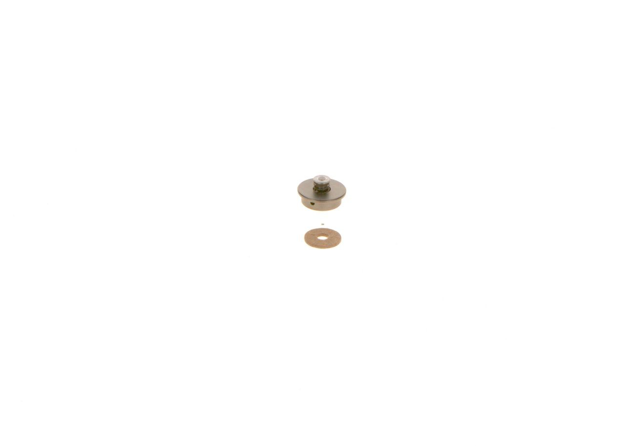 BOSCH Repair Kit, common rail system Article number: F 00N 202 692 cheaply