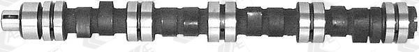 AE Camshaft Article number: CAM185 cheaply